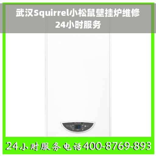 武汉Squirrel小松鼠壁挂炉维修24小时服务