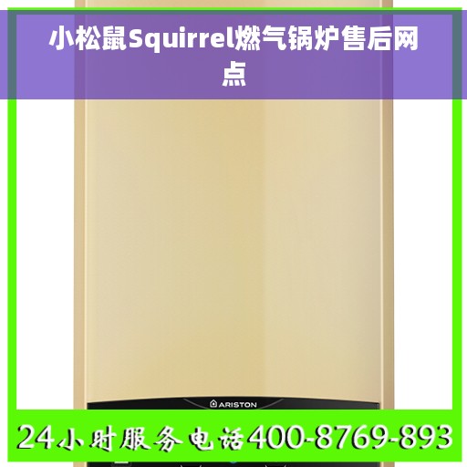 小松鼠Squirrel燃气锅炉售后网点