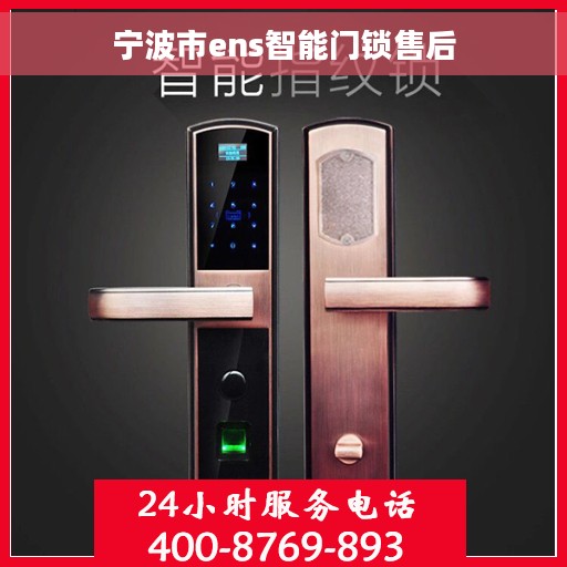 宁波市ens智能门锁售后