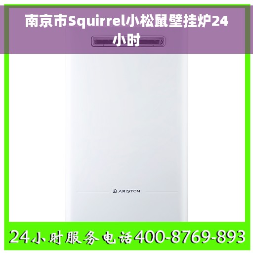 南京市Squirrel小松鼠壁挂炉24小时