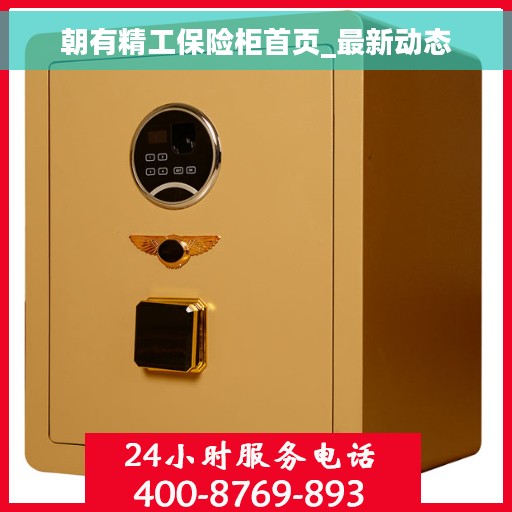 朝有精工保险柜首页_最新动态