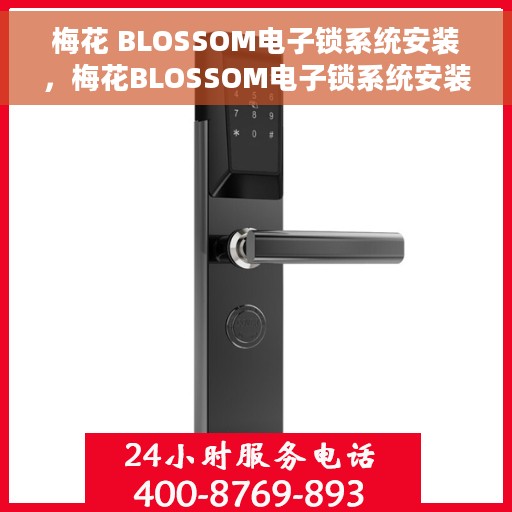 梅花 BLOSSOM电子锁系统安装，梅花BLOSSOM电子锁系统安装指南