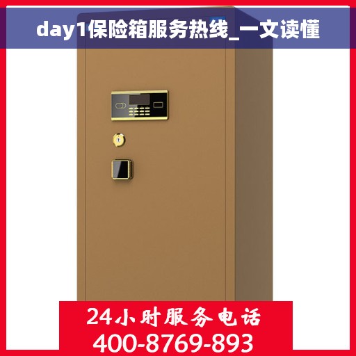 day1保险箱服务热线_一文读懂