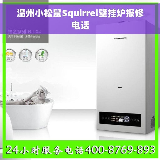 温州小松鼠Squirrel壁挂炉报修电话