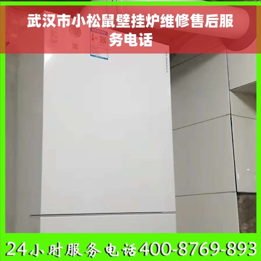 武汉市小松鼠壁挂炉维修售后服务电话