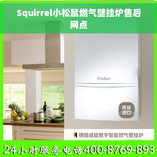 Squirrel小松鼠燃气壁挂炉售后网点