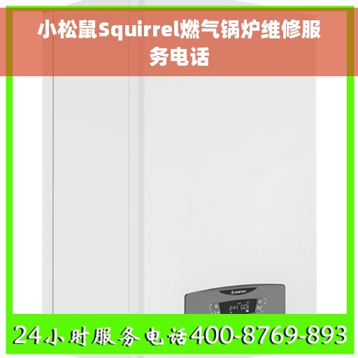 小松鼠Squirrel燃气锅炉维修服务电话