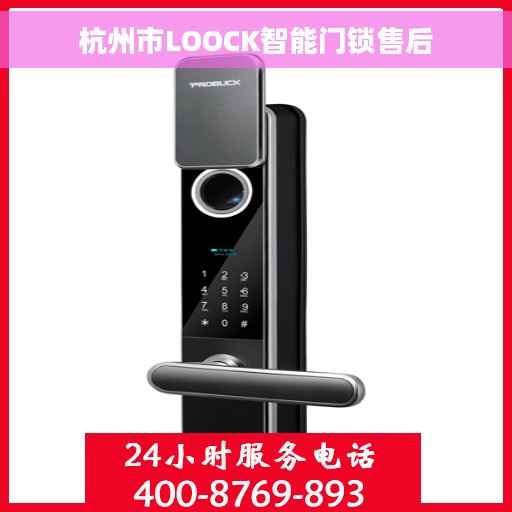 杭州市LOOCK智能门锁售后