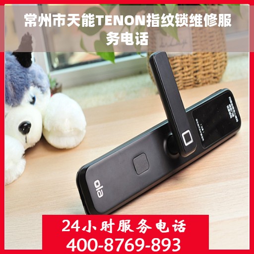 常州市天能TENON指纹锁维修服务电话