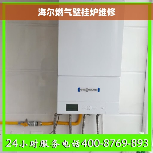 海尔燃气壁挂炉维修