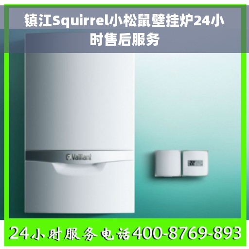 镇江Squirrel小松鼠壁挂炉24小时售后服务