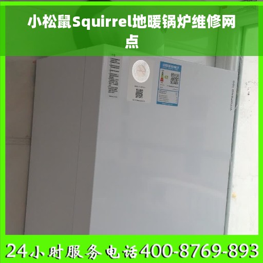 小松鼠Squirrel地暖锅炉维修网点