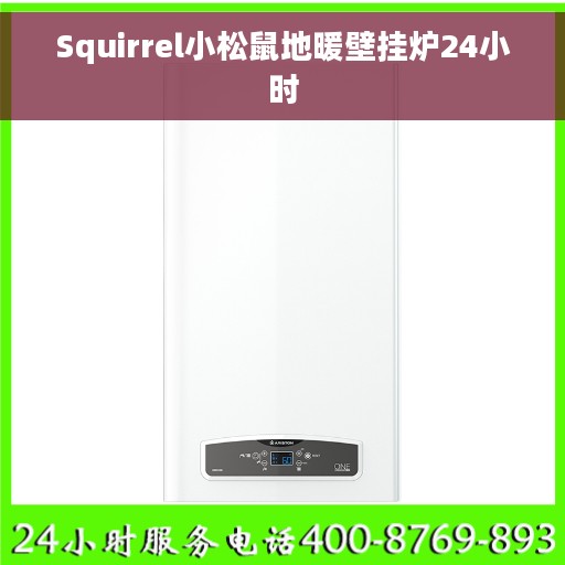 Squirrel小松鼠地暖壁挂炉24小时