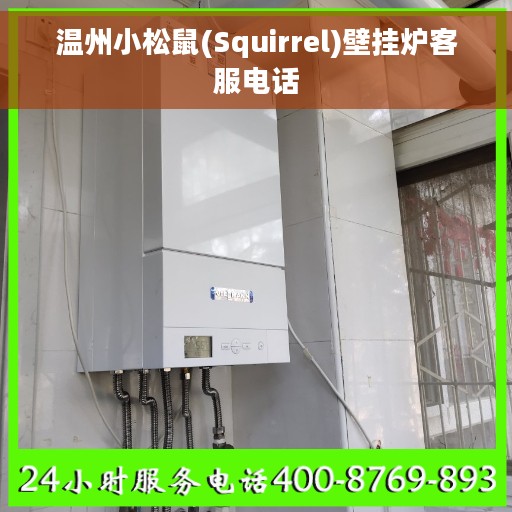温州小松鼠(Squirrel)壁挂炉客服电话