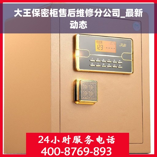大王保密柜售后维修分公司_最新动态
