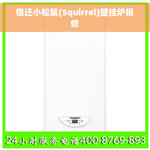 宿迁小松鼠(Squirrel)壁挂炉报修