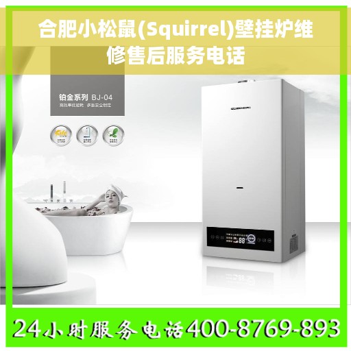 合肥小松鼠(Squirrel)壁挂炉维修售后服务电话