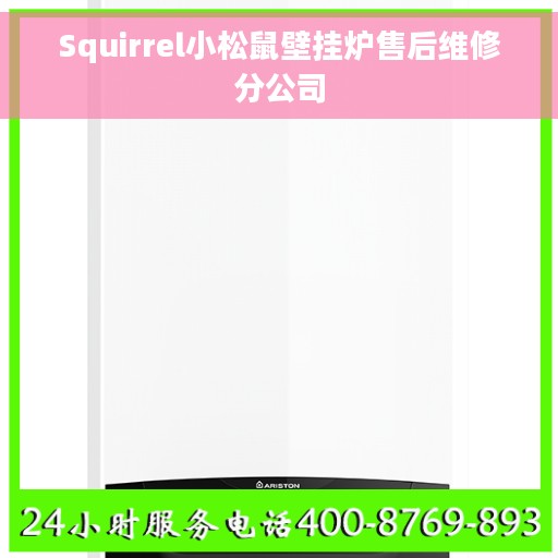 Squirrel小松鼠壁挂炉售后维修分公司