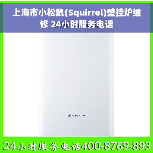 上海市小松鼠(Squirrel)壁挂炉维修 24小时服务电话
