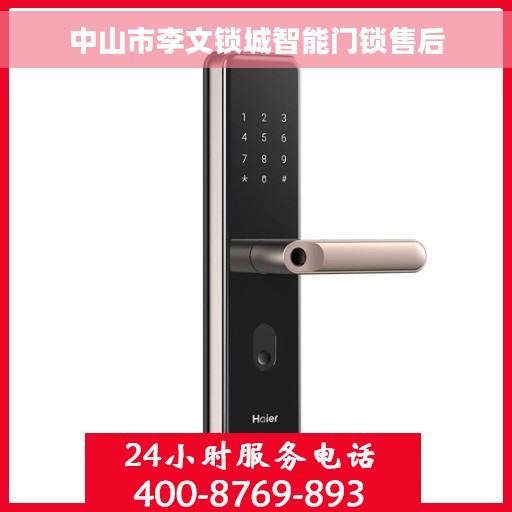 中山市李文锁城智能门锁售后