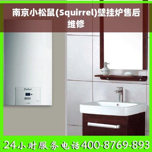 南京小松鼠(Squirrel)壁挂炉售后维修