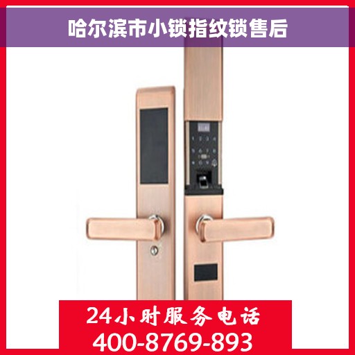 哈尔滨市小锁指纹锁售后