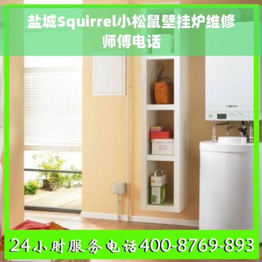 盐城Squirrel小松鼠壁挂炉维修师傅电话