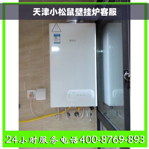 天津小松鼠壁挂炉客服
