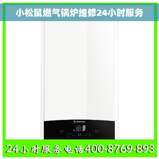 小松鼠燃气锅炉维修24小时服务