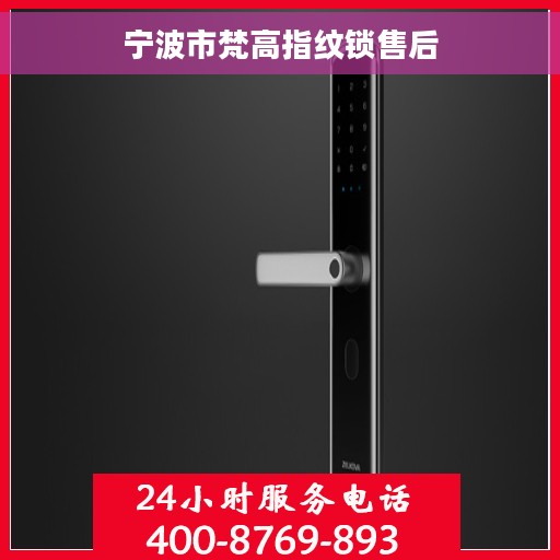 宁波市梵高指纹锁售后