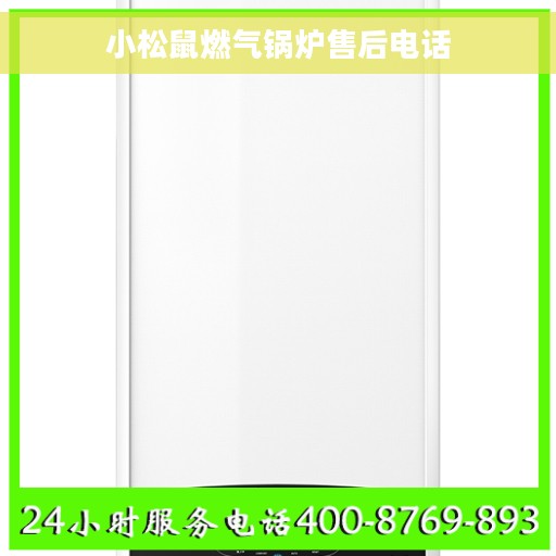小松鼠燃气锅炉售后电话