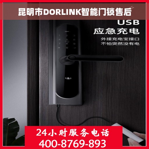 昆明市DORLINK智能门锁售后