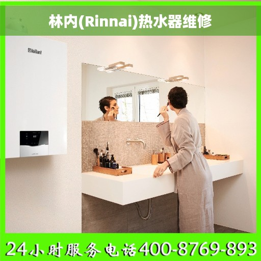 林内(Rinnai)热水器维修