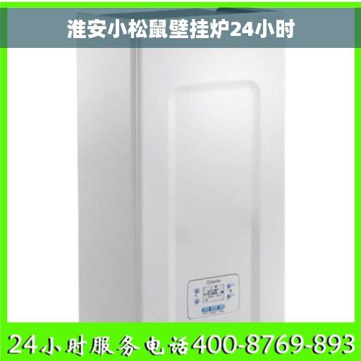 淮安小松鼠壁挂炉24小时