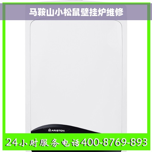 马鞍山小松鼠壁挂炉维修