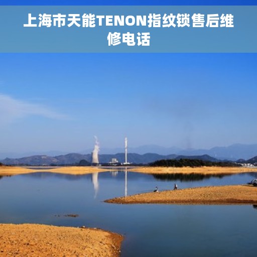 上海市天能TENON指纹锁售后维修电话