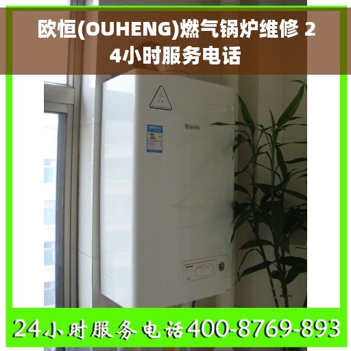 欧恒(OUHENG)燃气锅炉维修 24小时服务电话