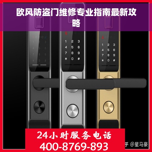 欧风防盗门维修专业指南最新攻略