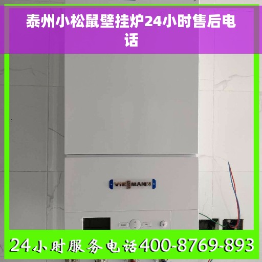 泰州小松鼠壁挂炉24小时售后电话