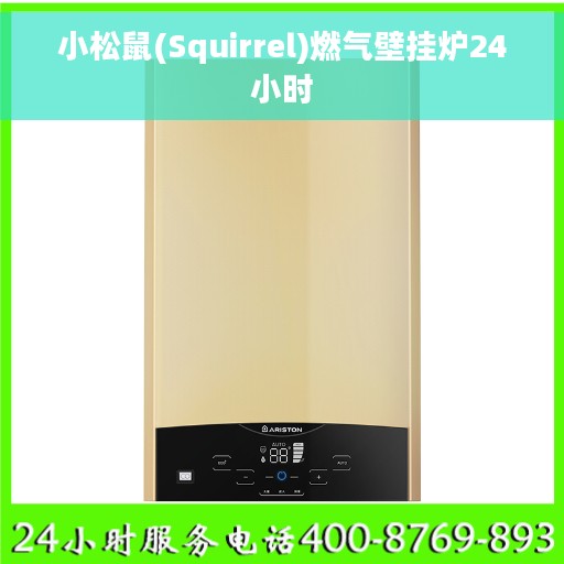 小松鼠(Squirrel)燃气壁挂炉24小时