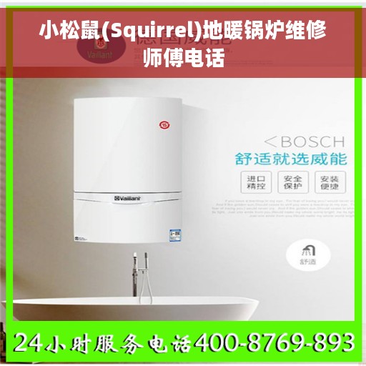 小松鼠(Squirrel)地暖锅炉维修师傅电话