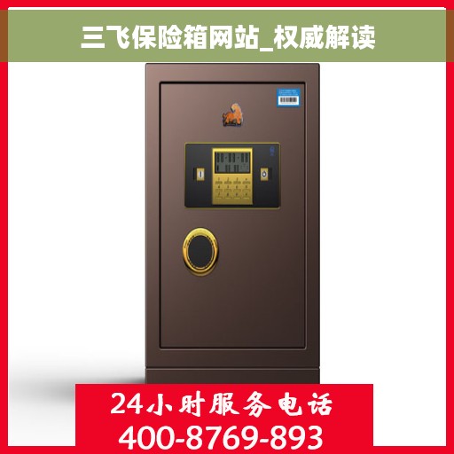 三飞保险箱网站_权威解读