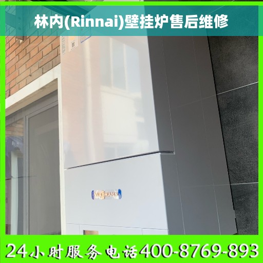 林内(Rinnai)壁挂炉售后维修