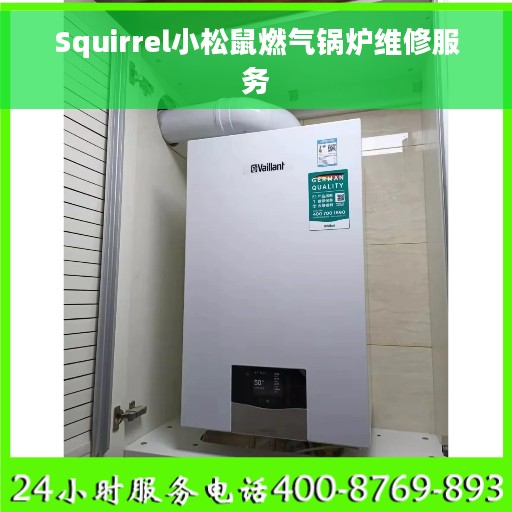 Squirrel小松鼠燃气锅炉维修服务