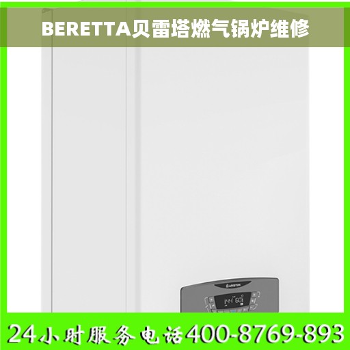 BERETTA贝雷塔燃气锅炉维修