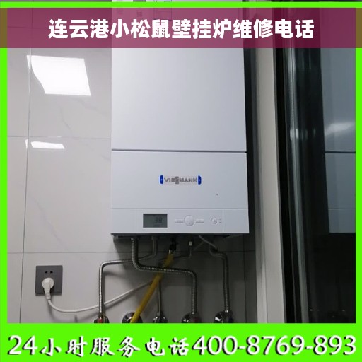 连云港小松鼠壁挂炉维修电话