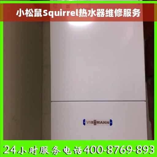 小松鼠Squirrel热水器维修服务
