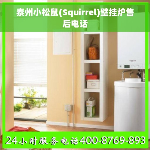 泰州小松鼠(Squirrel)壁挂炉售后电话