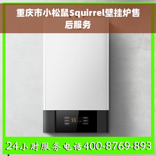 重庆市小松鼠Squirrel壁挂炉售后服务