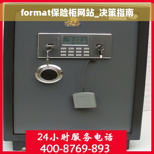 format保险柜网站_决策指南
